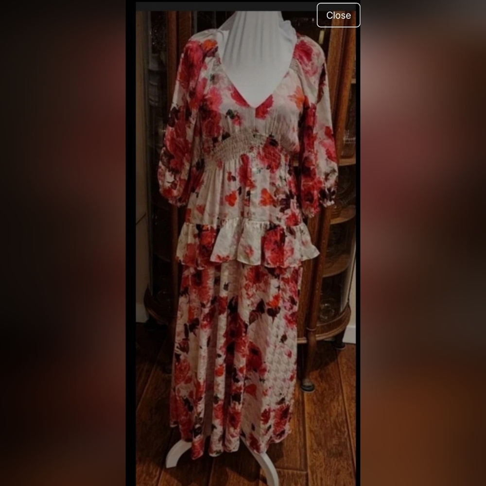 Taylor Floral Red and Pink Dress - Picture 2 of 7
